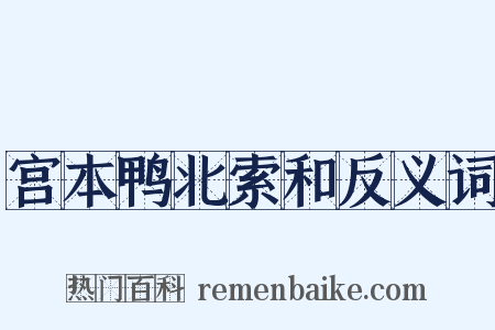 宫本鸭北索和反义词是什么意思的图片